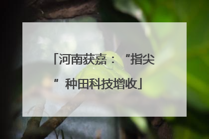 河南获嘉：“指尖”种田科技增收